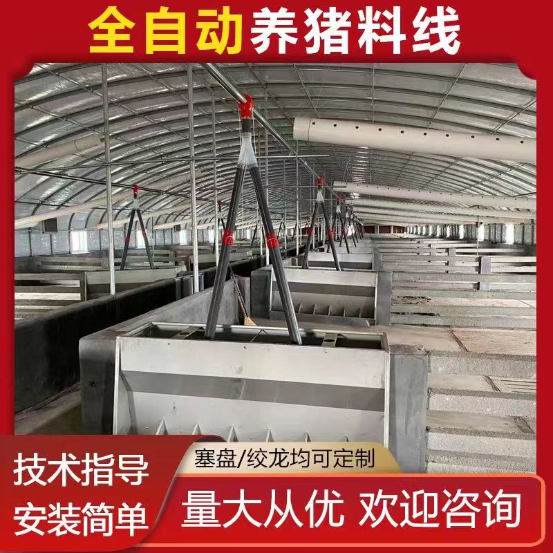 豬場自動(dòng)化喂料線 母豬料線 育肥料線
